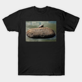 Inspire - Turtle Sunning Itself T-Shirt